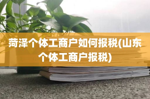菏泽个体工商户如何报税(山东个体工商户报税)
