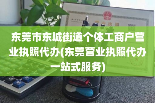 东莞市东城街道个体工商户营业执照代办(东莞营业执照代办一站式服务)