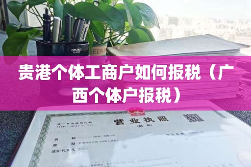 贵港个体工商户如何报税（广西个体户报税）
