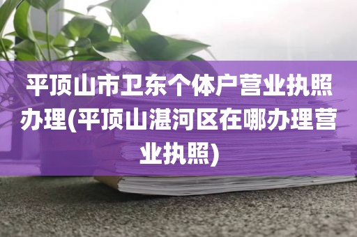平顶山市卫东个体户营业执照办理(平顶山湛河区在哪办理营业执照)