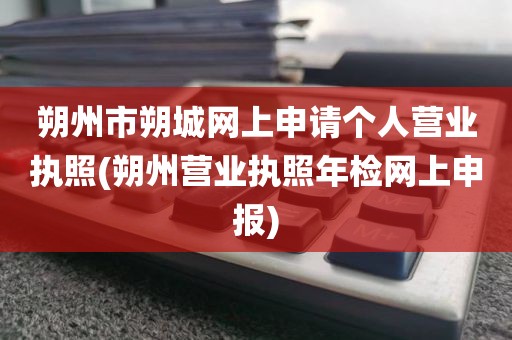 朔州市朔城网上申请个人营业执照(朔州营业执照年检网上申报)