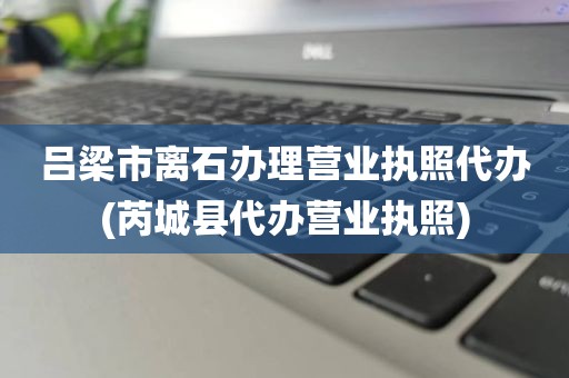 吕梁市离石办理营业执照代办(芮城县代办营业执照)