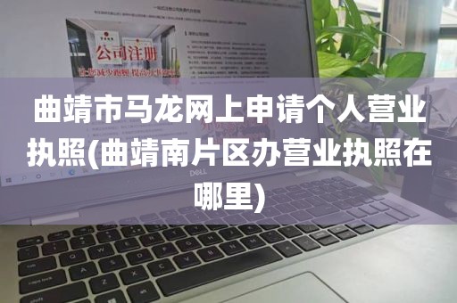曲靖市马龙网上申请个人营业执照(曲靖南片区办营业执照在哪里)