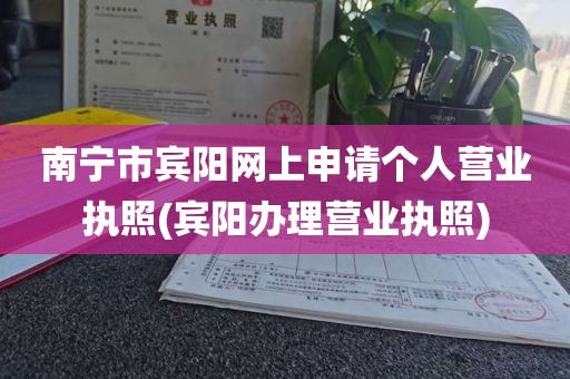 南宁市宾阳网上申请个人营业执照(宾阳办理营业执照)