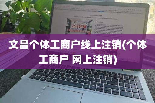 文昌个体工商户线上注销(个体工商户 网上注销)