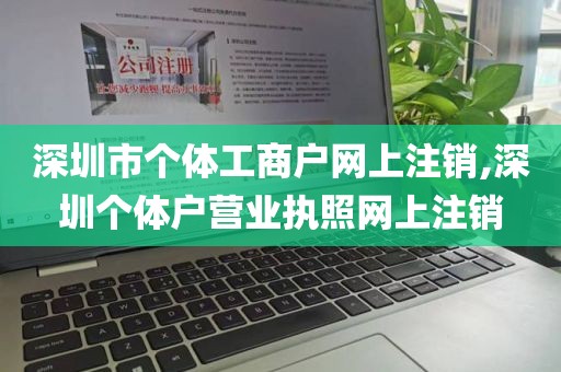 深圳市个体工商户网上注销,深圳个体户营业执照网上注销