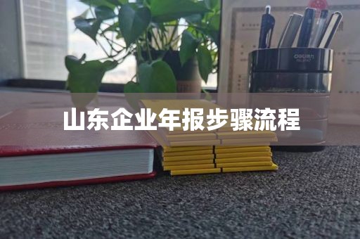 山东企业年报步骤流程