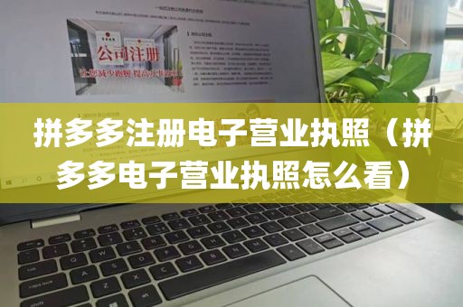 拼多多注册电子营业执照（拼多多电子营业执照怎么看）
