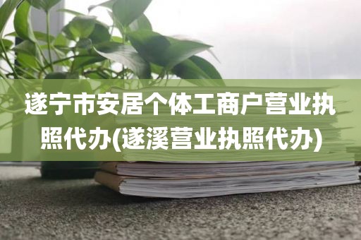 遂宁市安居个体工商户营业执照代办(遂溪营业执照代办)