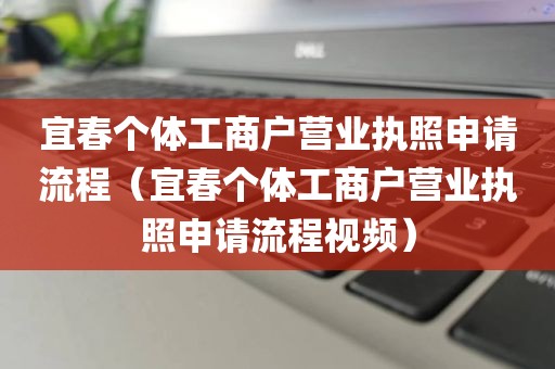 宜春个体工商户营业执照申请流程（宜春个体工商户营业执照申请流程视频）
