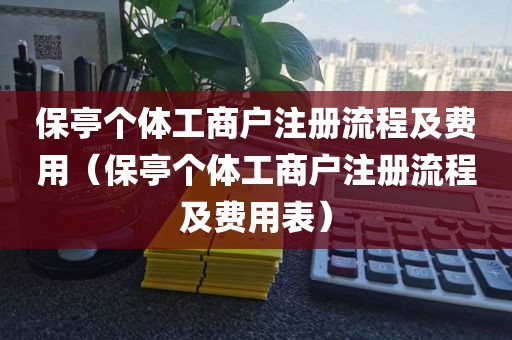保亭个体工商户注册流程及费用（保亭个体工商户注册流程及费用表）