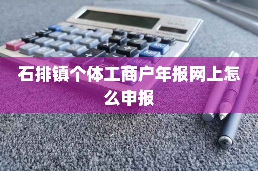 石排镇个体工商户年报网上怎么申报