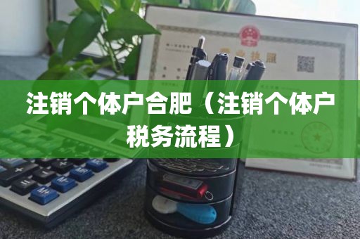 注销个体户合肥（注销个体户税务流程）
