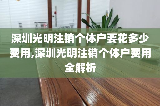 深圳光明注销个体户要花多少费用,深圳光明注销个体户费用全解析