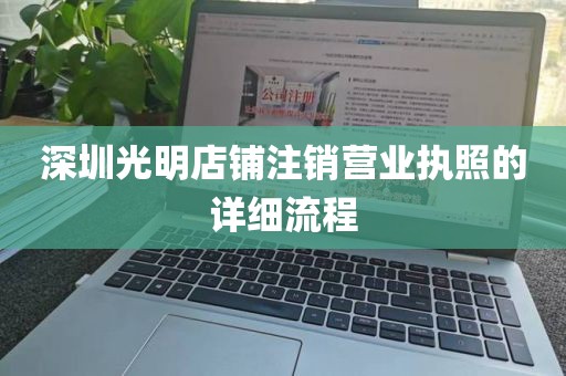 深圳光明店铺注销营业执照的详细流程