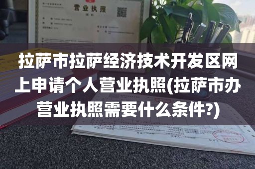 拉萨市拉萨经济技术开发区网上申请个人营业执照(拉萨市办营业执照需要什么条件?)