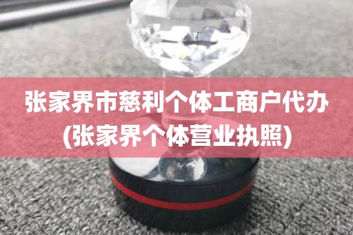张家界市慈利个体工商户代办(张家界个体营业执照)
