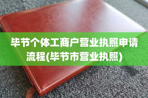 毕节个体工商户营业执照申请流程(毕节市营业执照)