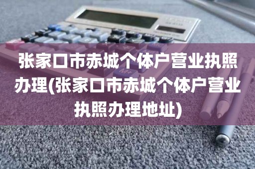 张家口市赤城个体户营业执照办理(张家口市赤城个体户营业执照办理地址)