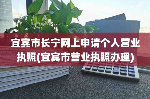 宜宾市长宁网上申请个人营业执照(宜宾市营业执照办理)