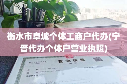 衡水市阜城个体工商户代办(宁晋代办个体户营业执照)