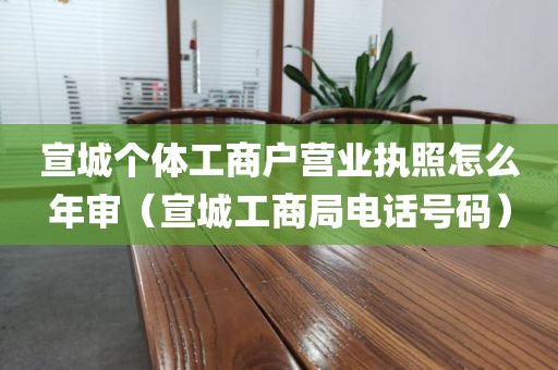 宣城个体工商户营业执照怎么年审（宣城工商局电话号码）