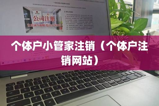 个体户小管家注销（个体户注销网站）
