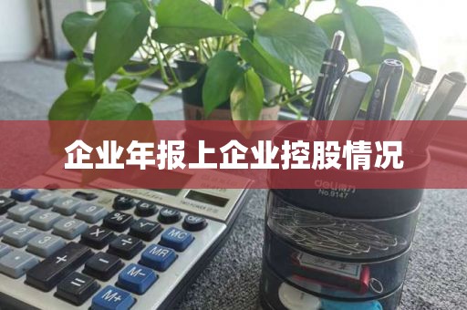 企业年报上企业控股情况