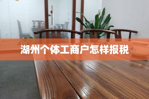 湖州个体工商户怎样报税