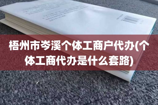 梧州市岑溪个体工商户代办(个体工商代办是什么套路)