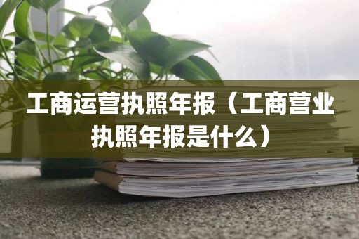工商运营执照年报（工商营业执照年报是什么）
