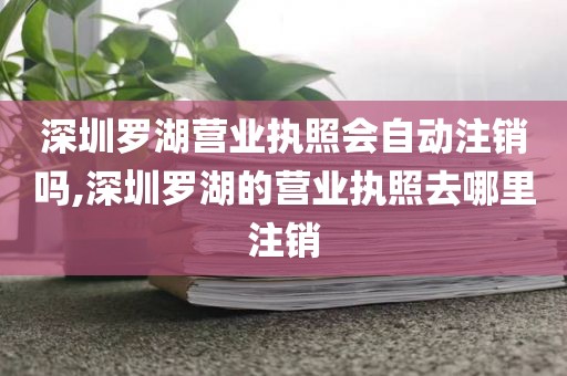 深圳罗湖营业执照会自动注销吗,深圳罗湖的营业执照去哪里注销