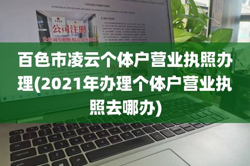 百色市凌云个体户营业执照办理(2021年办理个体户营业执照去哪办)