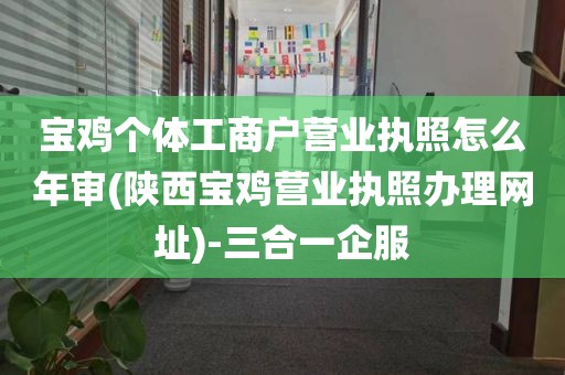 宝鸡个体工商户营业执照怎么年审(陕西宝鸡营业执照办理网址)-三合一企服