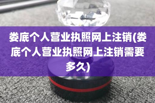 娄底个人营业执照网上注销(娄底个人营业执照网上注销需要多久)