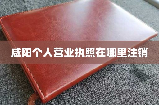 咸阳个人营业执照在哪里注销