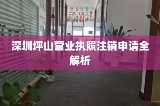 深圳坪山营业执照注销申请全解析