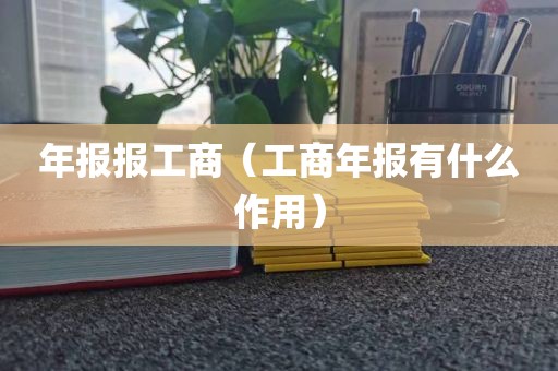年报报工商（工商年报有什么作用）