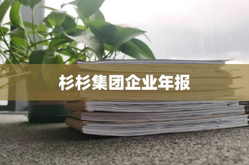 杉杉集团企业年报