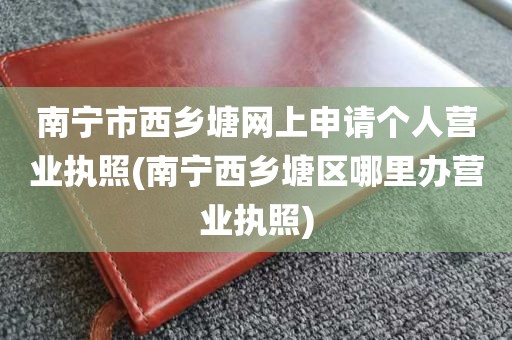 南宁市西乡塘网上申请个人营业执照(南宁西乡塘区哪里办营业执照)