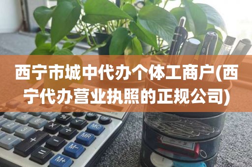 西宁市城中代办个体工商户(西宁代办营业执照的正规公司)