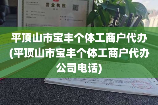 平顶山市宝丰个体工商户代办(平顶山市宝丰个体工商户代办公司电话)