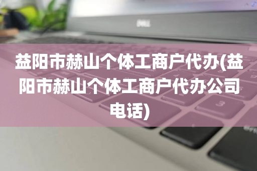 益阳市赫山个体工商户代办(益阳市赫山个体工商户代办公司电话)
