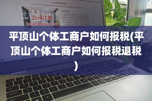 平顶山个体工商户如何报税(平顶山个体工商户如何报税退税)