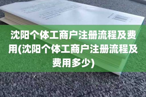 沈阳个体工商户注册流程及费用(沈阳个体工商户注册流程及费用多少)