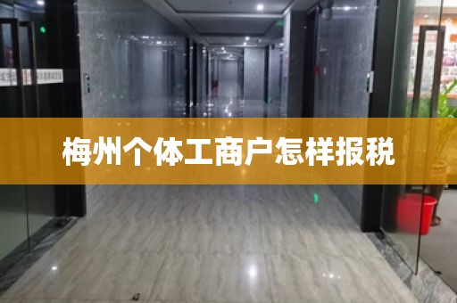梅州个体工商户怎样报税