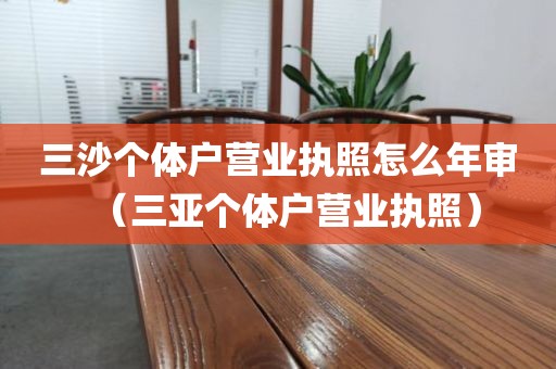 三沙个体户营业执照怎么年审（三亚个体户营业执照）