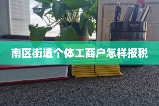 南区街道个体工商户怎样报税