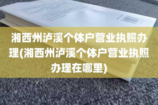湘西州泸溪个体户营业执照办理(湘西州泸溪个体户营业执照办理在哪里)