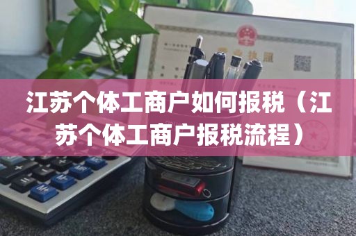 江苏个体工商户如何报税（江苏个体工商户报税流程）